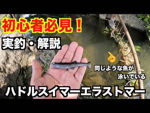 【バス釣り】バス釣りを始めた方でスピニングでバスが簡単にルアーを見にきて釣れるおすすめのルアーを紹介します！【初心者必見】