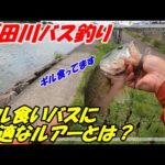 【瀬田川】ギル食いバスには、このルアー!!【バス釣り】