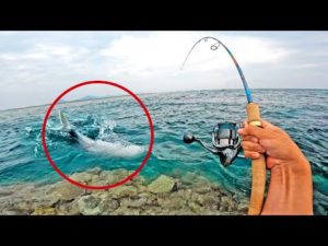 トップルアーに60㎝の大物が食いついた