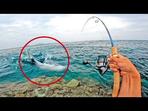 トップルアーに60㎝の大物が食いついた