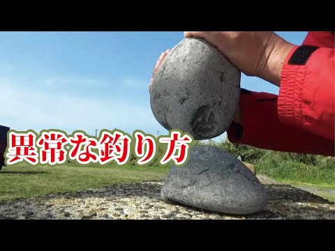 堤防で小イカや小タコや異常な釣り方であり得ない真鯛が出てきた！