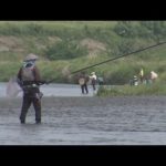 思川では栃木県内で一番早いアユ釣り解禁　釣り人たちが腕を競う