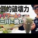 【バス釣り】圧倒的破壊力ビックワームで五三川に挑む！