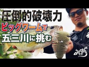 【バス釣り】圧倒的破壊力ビックワームで五三川に挑む!