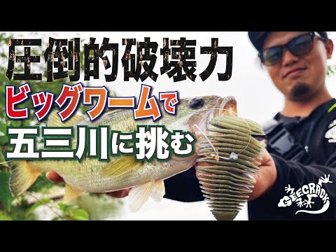 【バス釣り】圧倒的破壊力ビックワームで五三川に挑む!