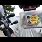 【琵琶湖バス釣りライブ】ヘビキャロでバイト多数！夕マヅメにデラクーでどうにか1匹釣れた