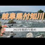 2023年付知川で祝鮎釣り解禁㊗️