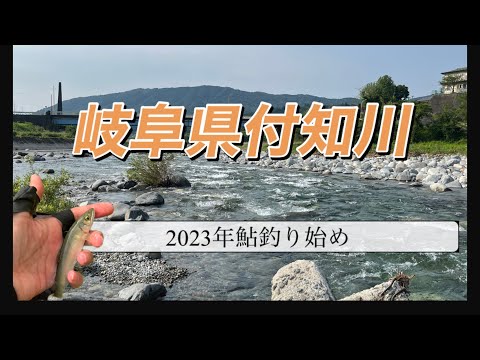 2023年付知川で祝鮎釣り解禁㊗️