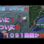 ♯53 悪天候のかかり釣り‪🎣‬ 𝙸𝙽 賀田湾 元丸渡船