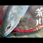 【GWの本流釣り】#3 荒川の本流ヤマメ釣り