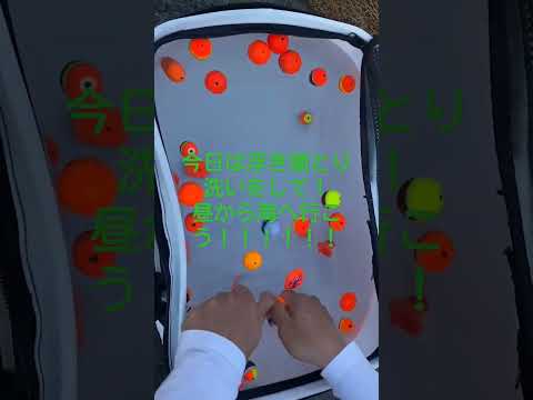 浮き洗いの後からのフカセ釣り #フカセ釣り #グレ #チヌ #チヌ釣り #グレ釣り #渡船 #クロ釣り #釣り