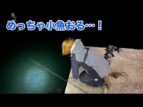 小魚がわいている常夜灯を見つけたので釣りをしてみると…