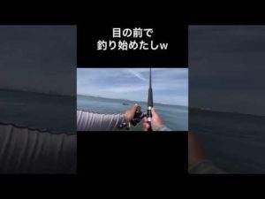 普通に釣りがしたい #釣り