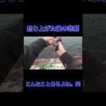 【エギング】コウイカ「クルクル〜。ブシャーー」　釣り人「・・・。」 #shorts