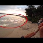 【台風前】異次元の大物の群れが小魚に襲いかかる瞬間ルアーを投げたら…