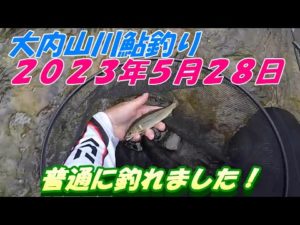 【大内山川鮎釣り】阿曽地区広瀬橋＃2023年＃鮎釣り 0