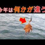 『釣果を伸ばす秘訣はコレ！』明石沖タコ釣り