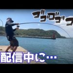 娘の誕生日に生配信で釣りしてみたら…