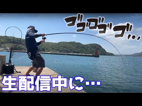 娘の誕生日に生配信で釣りしてみたら…