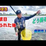 2023 鮎釣り 解禁日 午前中 釣られた後 どう釣る？