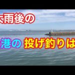 大雨後の漁港の投げ釣りは？知多半島 キス釣り