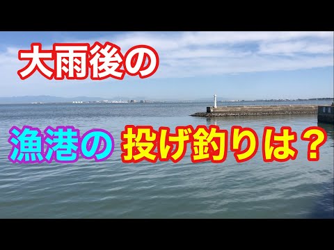 大雨後の漁港の投げ釣りは？知多半島 キス釣り