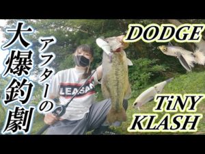 計9匹でアフターを完全攻略!バス釣りが一番面白い季節が来たぞ!【タイニークラッシュ】【ダッジ】【カットテール】