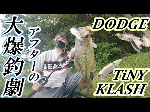 計９匹でアフターを完全攻略！バス釣りが一番面白い季節が来たぞ！【タイニークラッシュ】【ダッジ】【カットテール】
