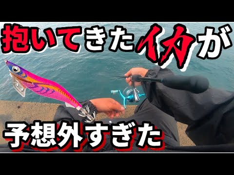 【エギング春】予想外のイカが釣れて竿に大満足した雨の日！（春イカ）（アオリイカ）（エメラルダス80M）