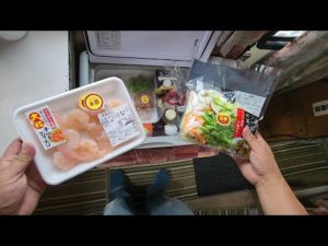 古いキャンピングカーのサブバッテリーはポータブル電源に置き換える事が出来るのか実験してみた