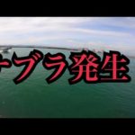 帰り際、目の前でナブラ発生！