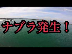 帰り際、目の前でナブラ発生！
