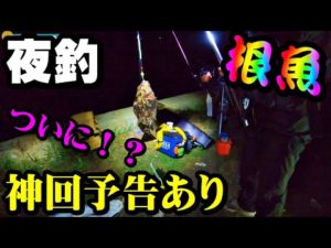 【釣り】北海道・根魚・ロックフィッシュ・ソイ・サクラマス神回予告?:2023年