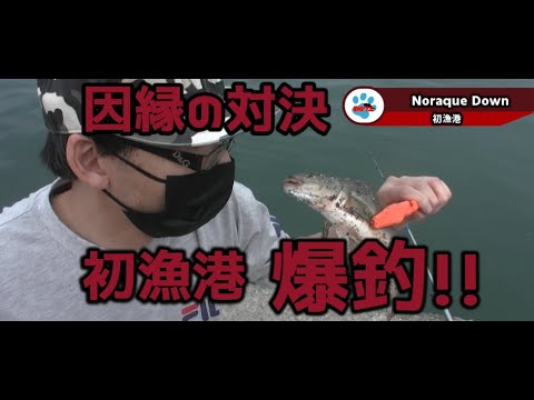 初漁港で初釣り!爆釣!! 因縁のライバルとも勝負!![のらクエダウン」