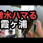 ６月増水でハマったワーム！今週のバス釣り霞ヶ浦ポイントガイド2023年6月8日