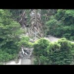 「全部流された」興津川のアユ釣りピンチ　山間部では斜面崩落で通行止めも【台風2号・静岡記録的豪雨】