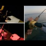 ６月初旬の釣り【トップチニング？】