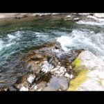 ヤマメ・イワナ ウキ釣り　2023