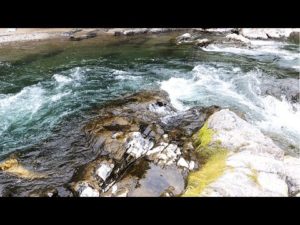 ヤマメ・イワナ ウキ釣り　2023