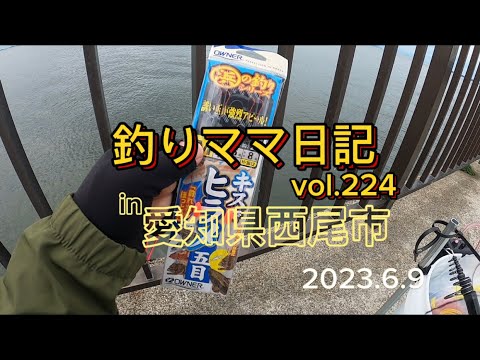釣りママ日記vol.224愛知県西尾市