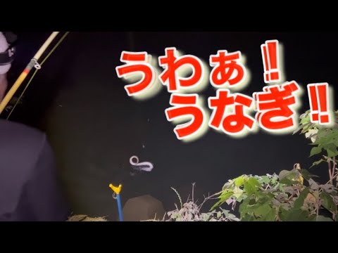 うなぎ釣り日誌２０２３
