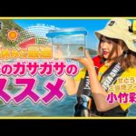 【釣りガチャ】瀬戸内の海でガサガサ