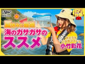 【釣りガチャ】瀬戸内の海でガサガサ