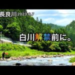 【鮎釣り】2023年初釣行！長良川（岐阜県）｜6月7日【友釣り】