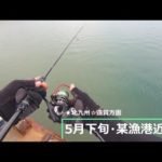 【5月下旬】☆ちょい投げでキス釣りの様子です♪