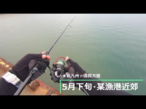 【5月下旬】☆ちょい投げでキス釣りの様子です♪