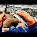 荒れた大海原で釣る超大物