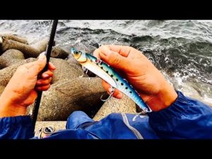 荒れた大海原で釣る超大物