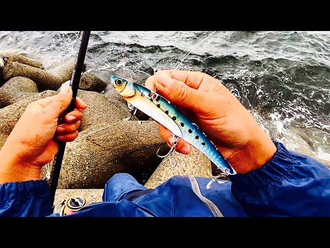 荒れた大海原で釣る超大物