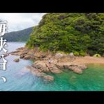 海峡沿いの地磯ポイント周辺は、絶好の釣りキャンプ地。